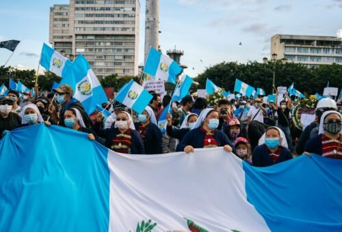 people gathering on street during daytime